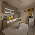Otulisko - Piękny Ogród, Basen, Cisza, Zwiedzanie Atrakcji, Bliksko Bałtów Apartamento Kunow