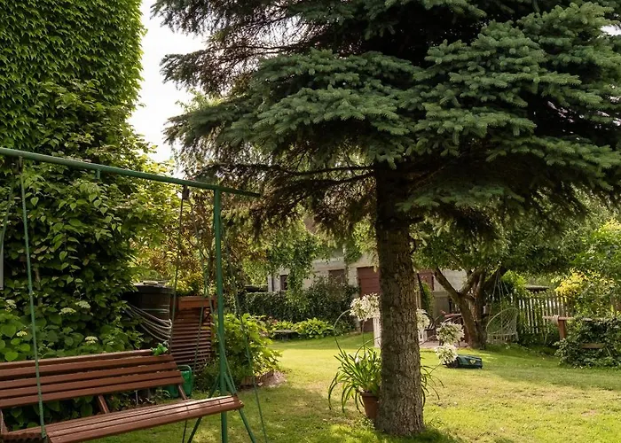 Otulisko - Piekny Ogrod, Basen, Cisza, Zwiedzanie Atrakcji, Blisko Baltow * Kunow